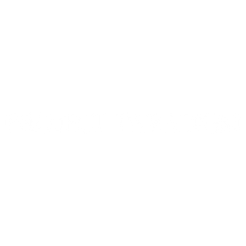 Project Paradigm 